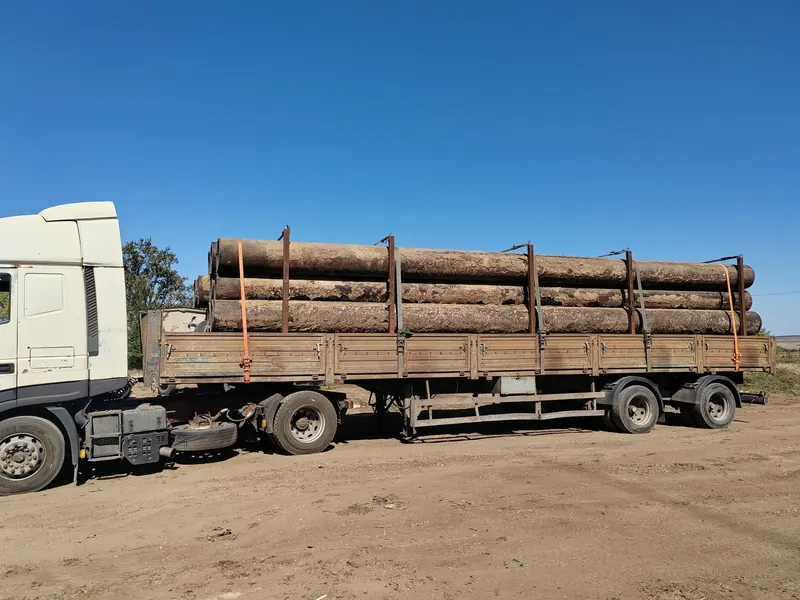 Длинномерные брёвна, уложенные и закреплённые на бортовом полуприцепе